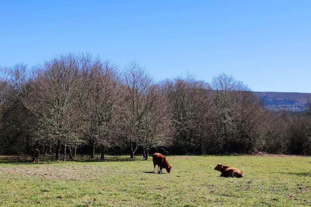 Casa Carmina: Casa Pequenos Grupos En El Corazon De Galicia Hébergement de vacances O Irixo