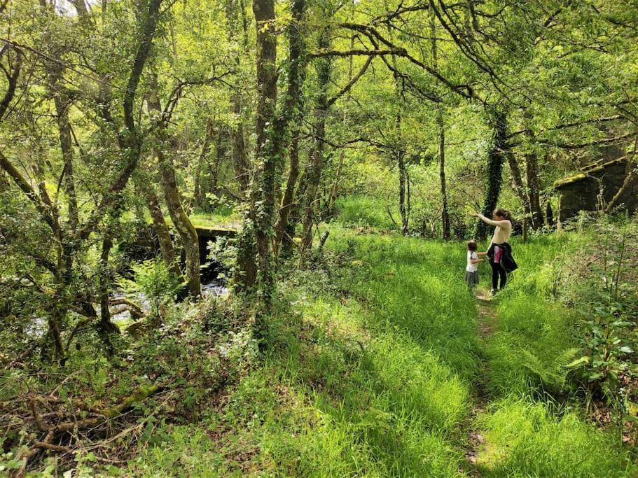 Casa Carmina: Casa Pequenos Grupos En El Corazon De Galicia *